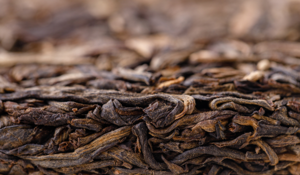A deep dive into our current ripe puerh offerings (part 1)