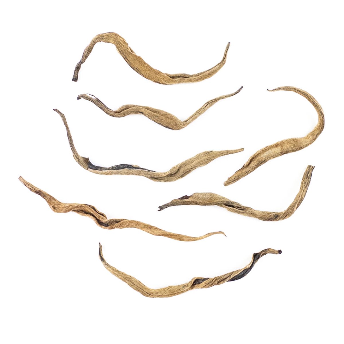 Shop for Black Tea | The Steeping Room