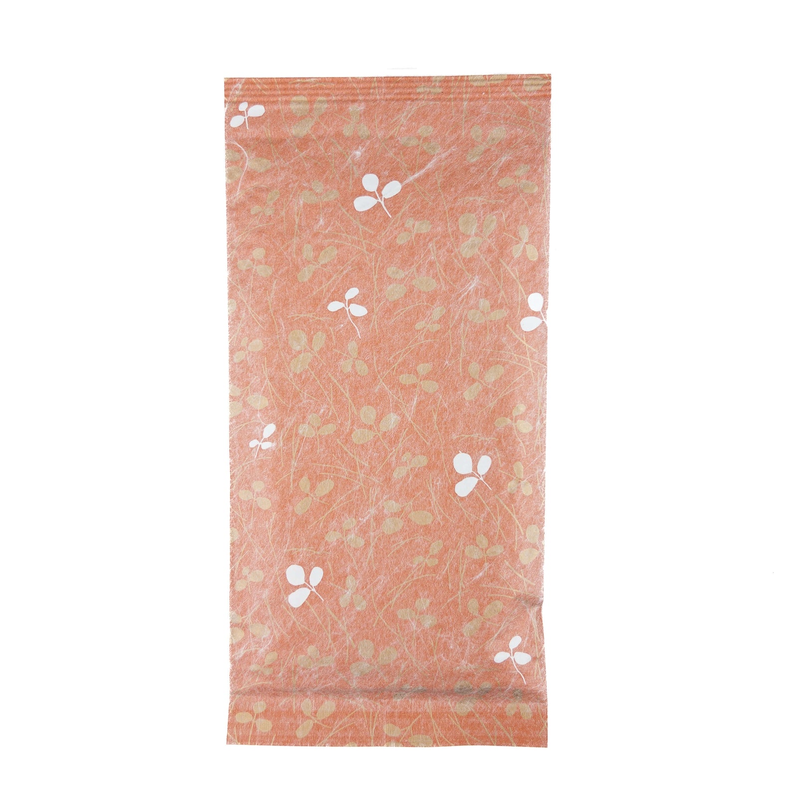 2025 Asatsuyu Sencha Japanese Green Tea