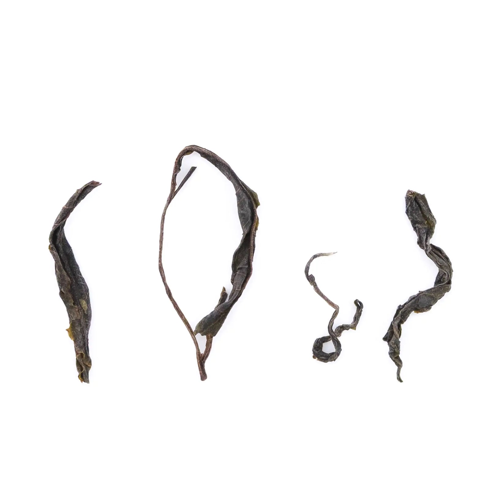 2025 Charcoal Roasted Chiang Mai Raw Puerh (from Thailand) - four leaves on a white background