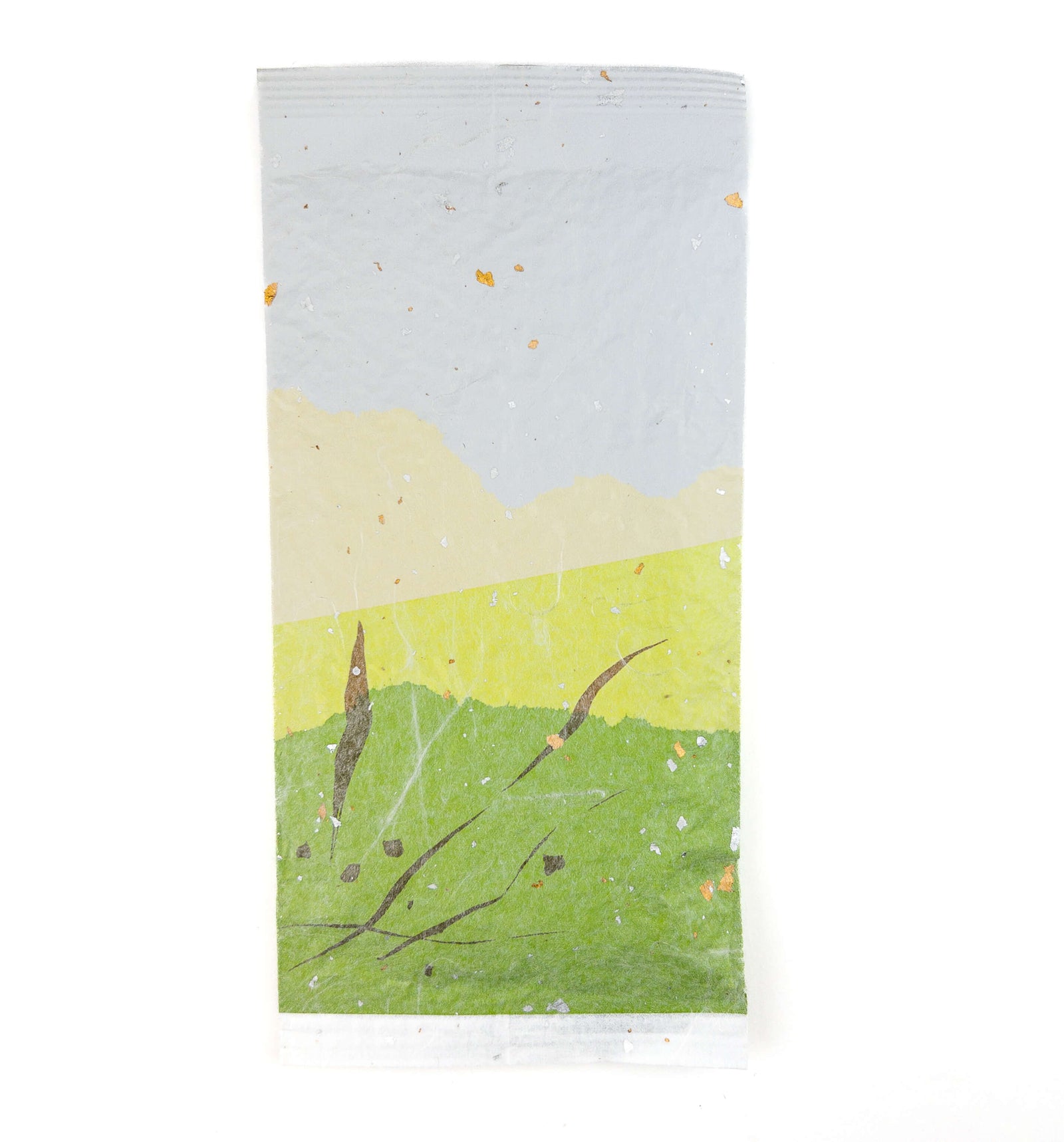 2025 Yume Suruga Sencha Japanese Green Tea