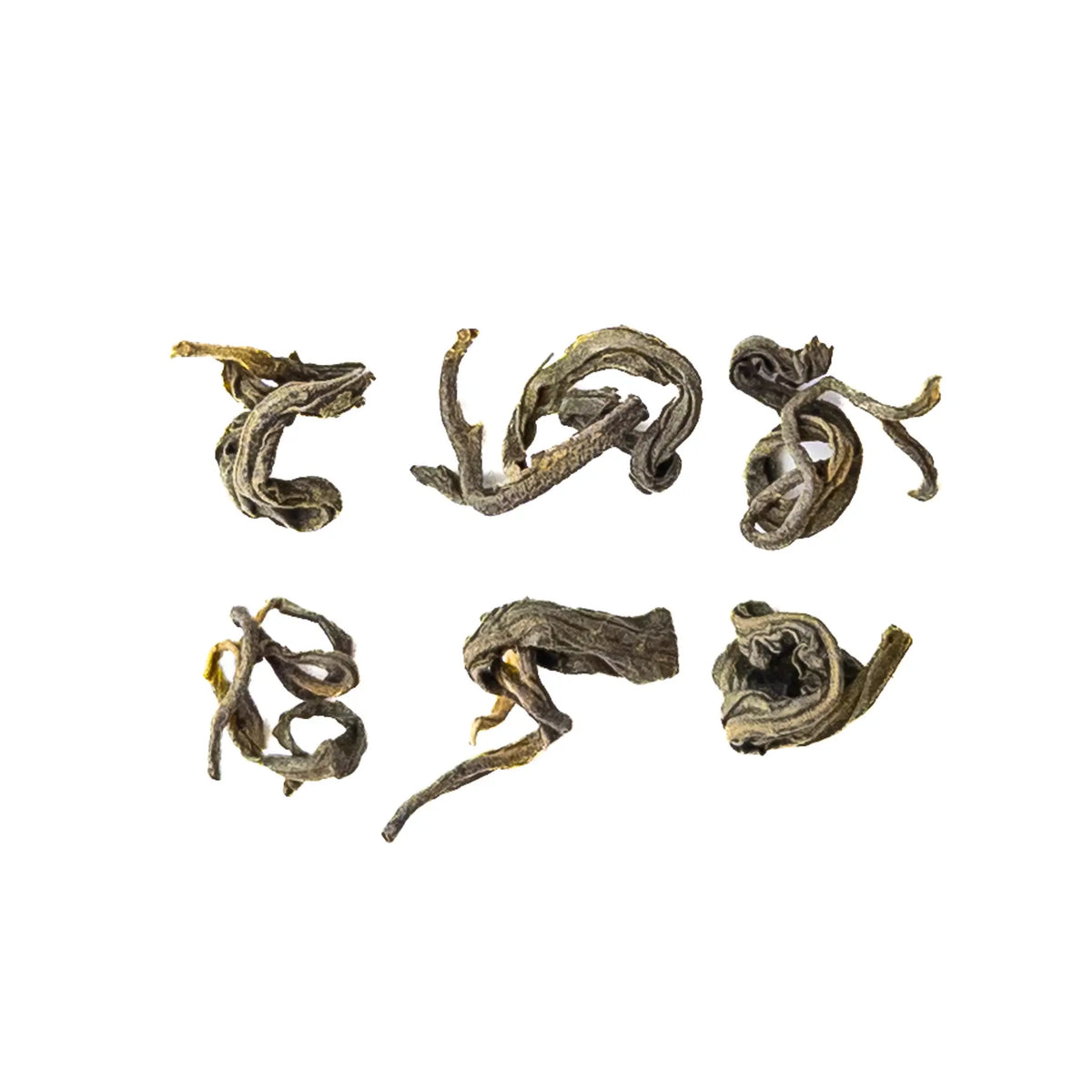 Six dry leaves of 2026 Dara Old Tree Green Tea from Thailand in two rows on white, each long leaf loosely twisted and curled, olive green with lighter edges