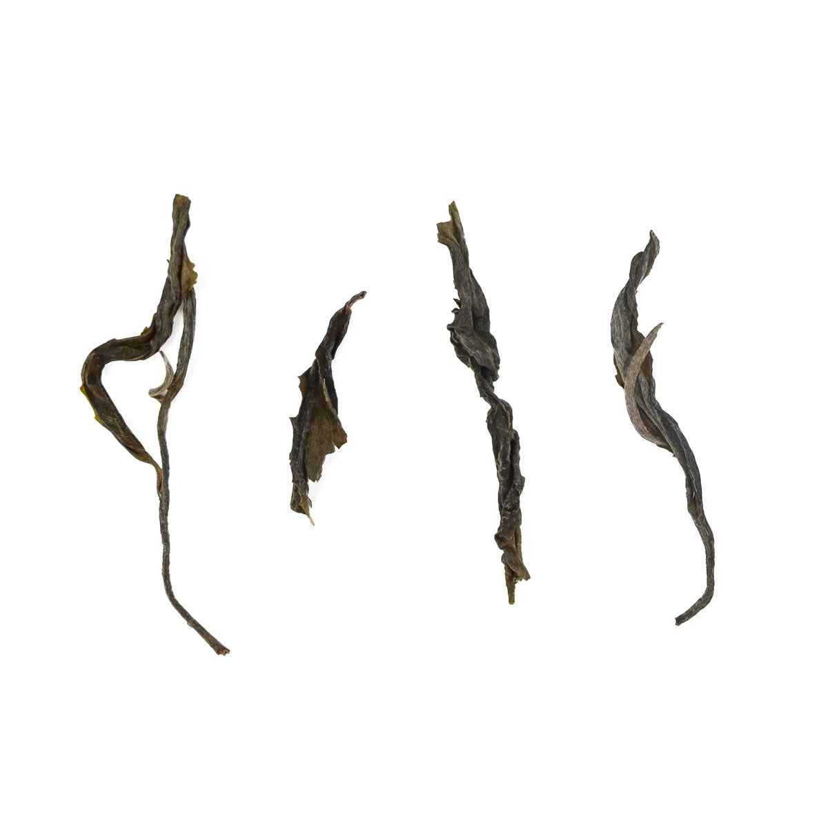 Four long twisted dry leaves of 2026 Xiao Mengsong gushu raw puerh maocha laid side by side