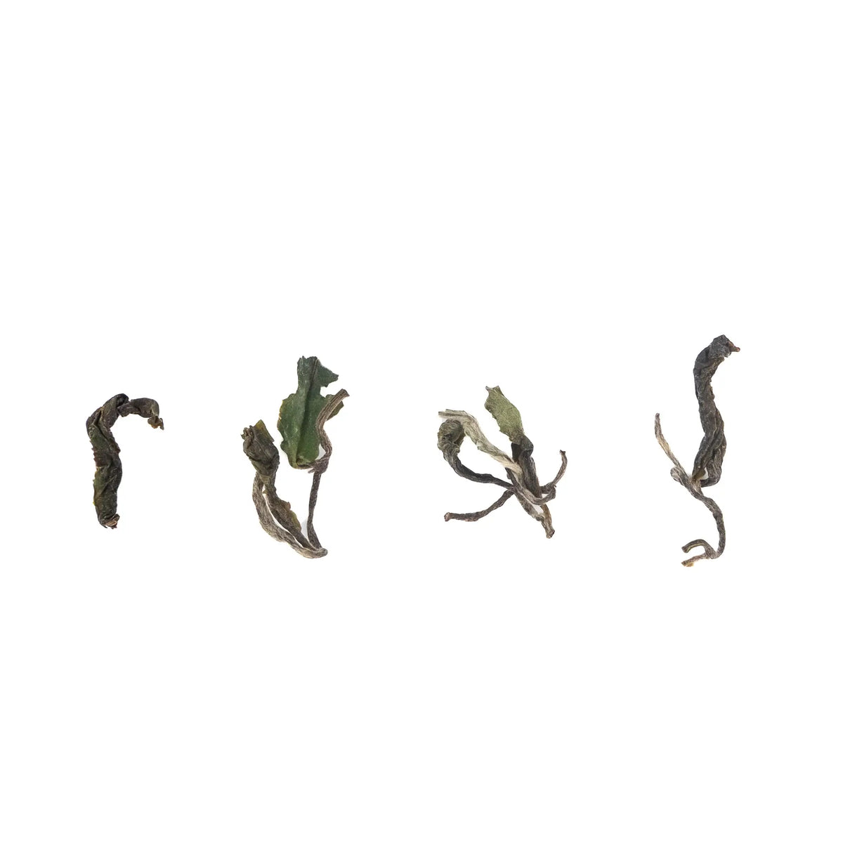 2026 Organic Jun Chiyabari Greenish Black Tea from Nepal on a white background