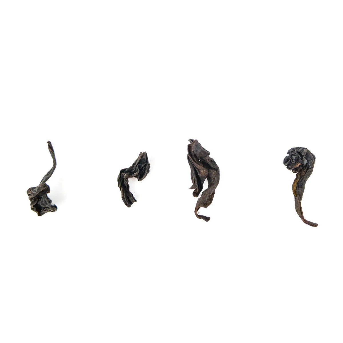 Four Wuyi oolong tea leaves on a white background