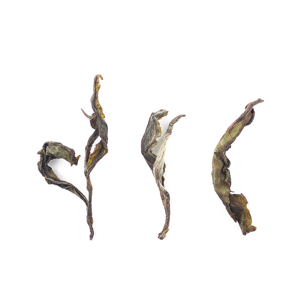 Avongrove Euphoria First Flush Darjeeling