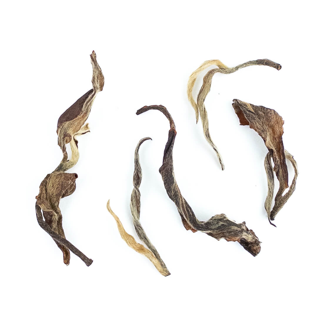 Shop for Black Tea | The Steeping Room
