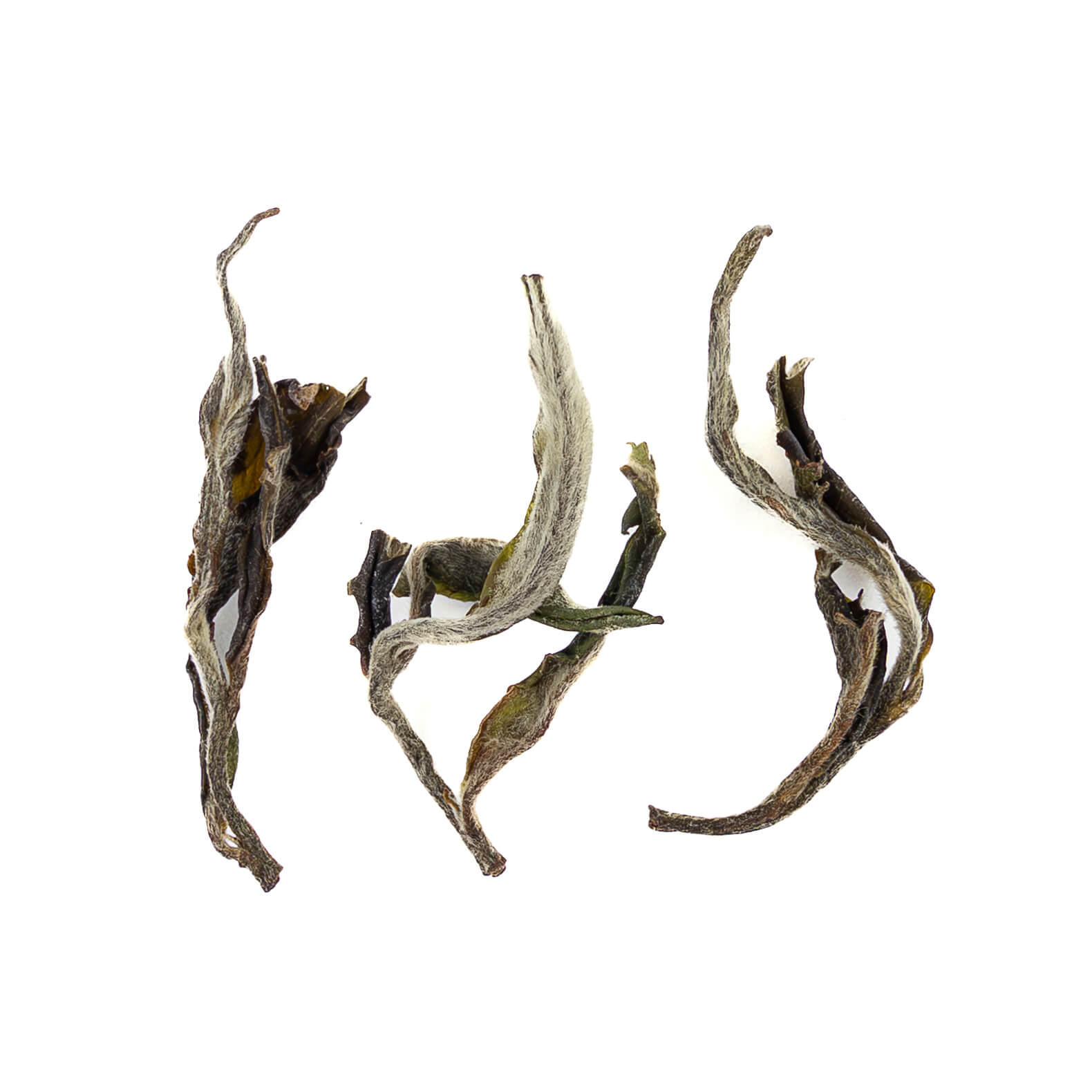 First Flush Lakyrsiew Estate Black Tea from India