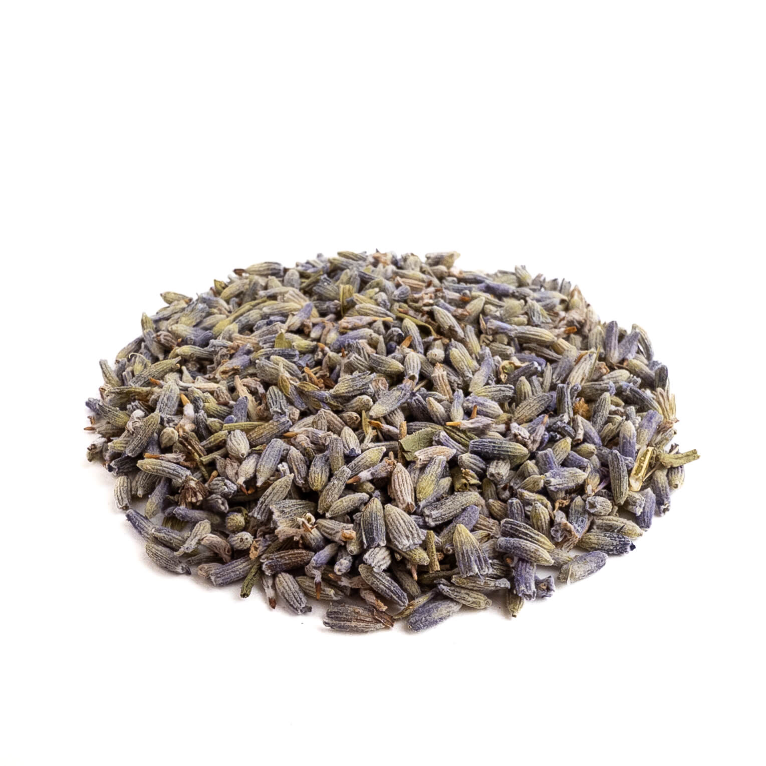 French Lavender Flowers