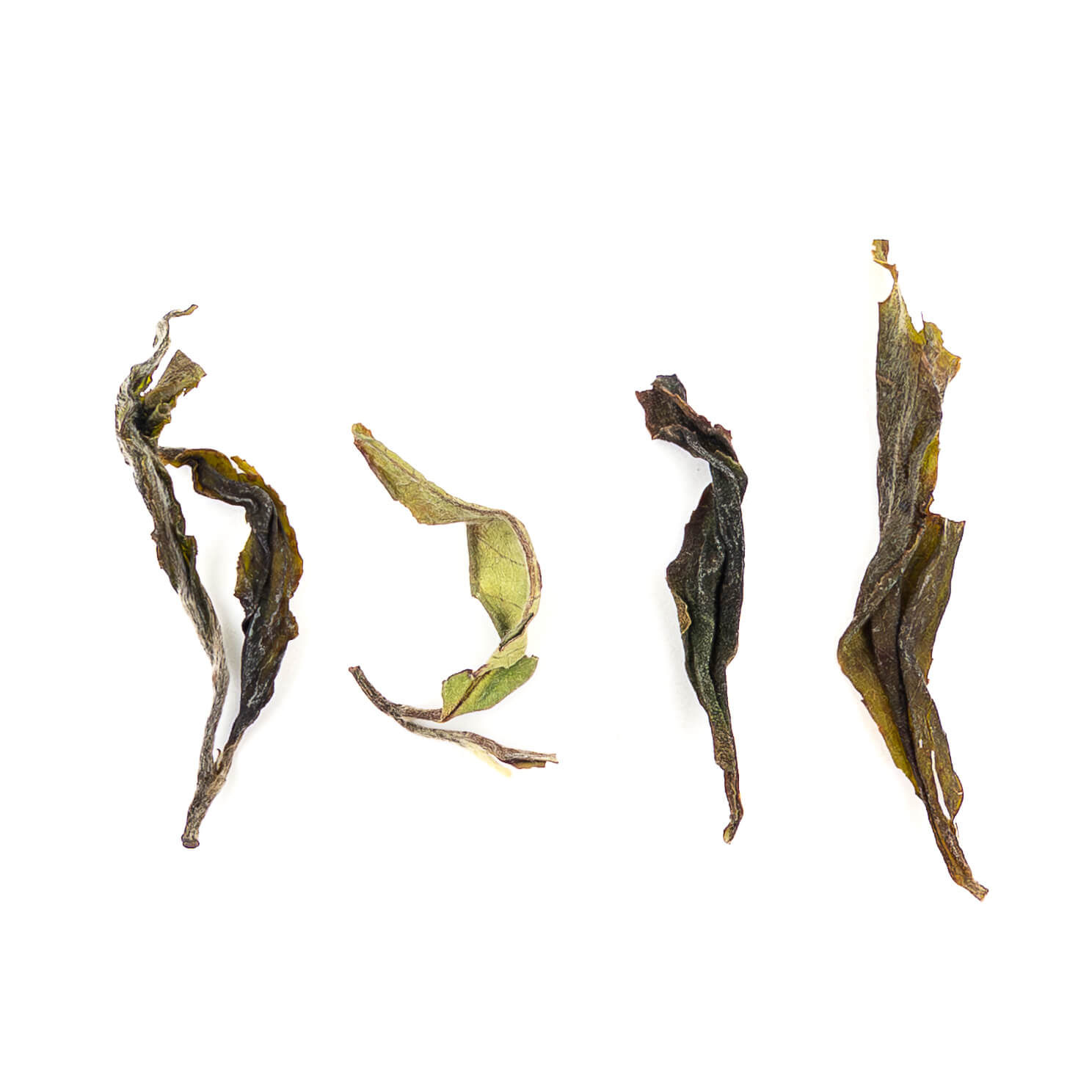 Giddapahar AV2 Wonder First Flush Darjeeling