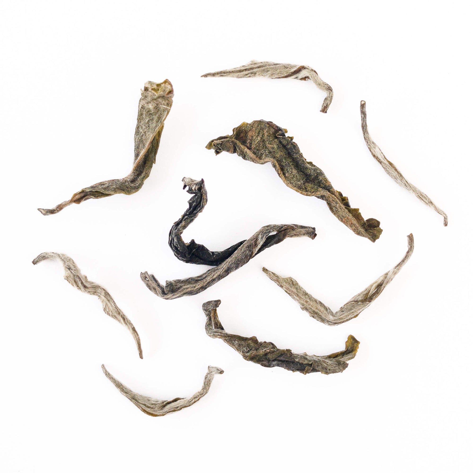 Organic White Tea from Nepal