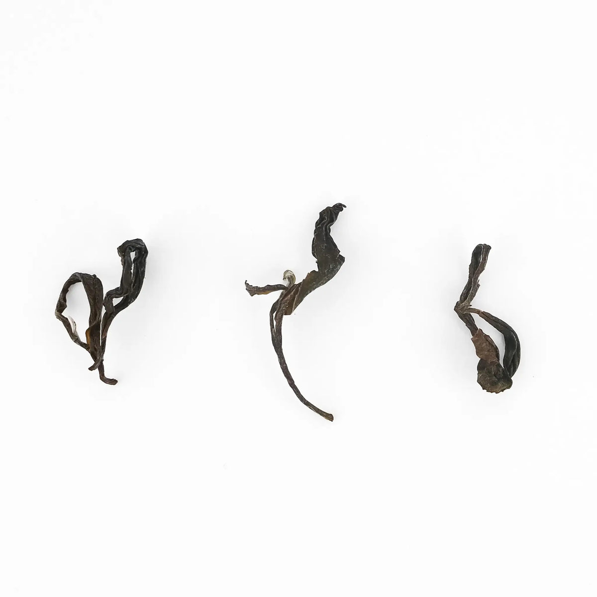 Jun Chiyabari Moon Drops Himalayan organic oolong, rolled dry leaf