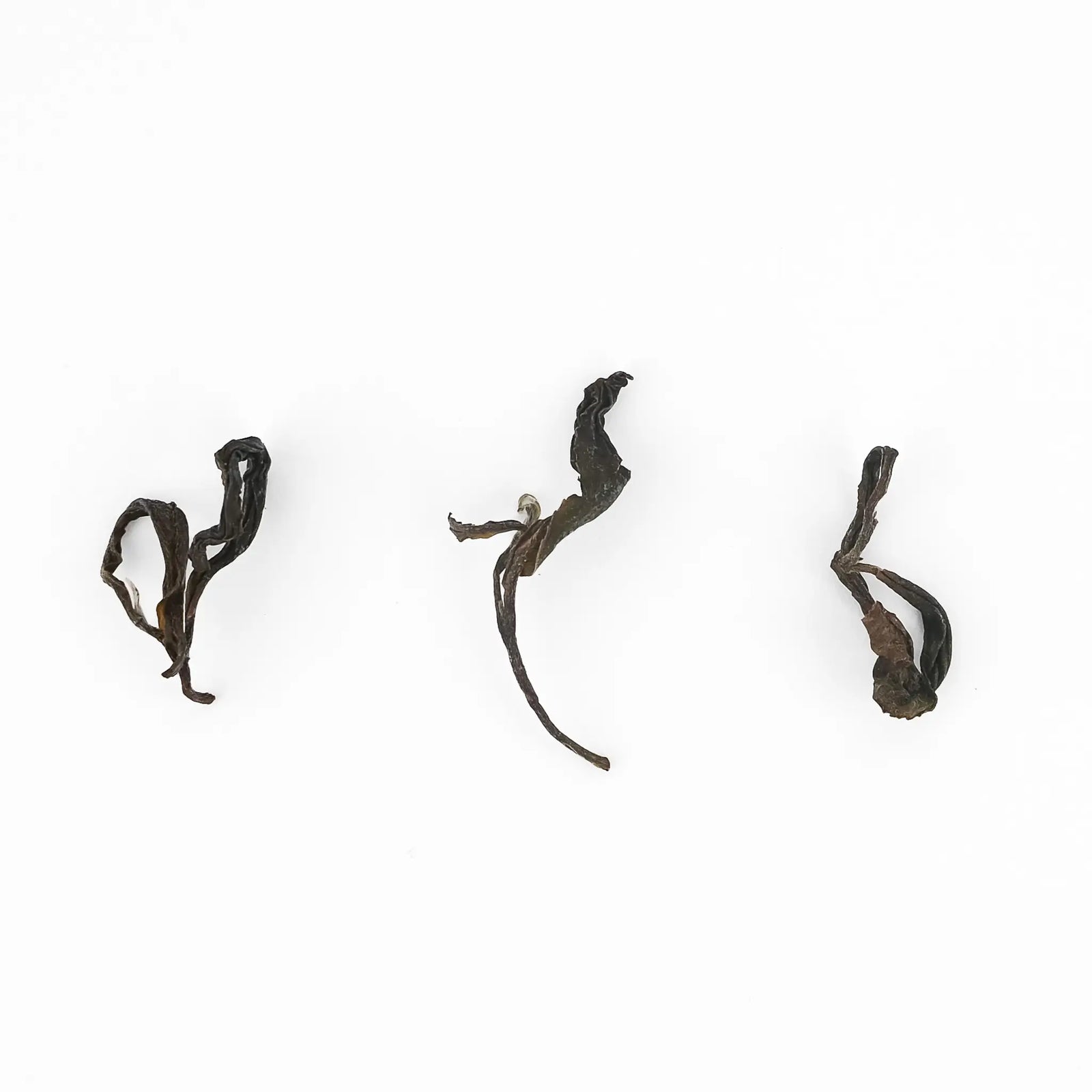 Jun Chiyabari Moon Drops Himalayan organic oolong, rolled dry leaf
