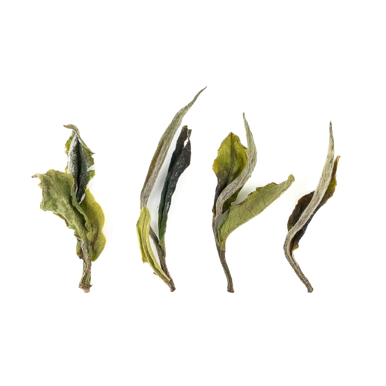 Jun Chiyabari Himalayan Organic White Tea from Nepal