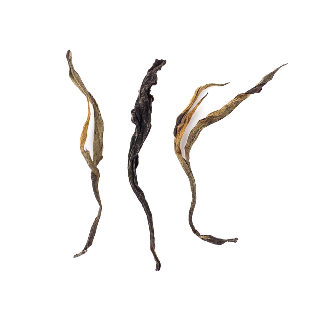2025 Latumoni Assam Handmade Signature Black Tea from India