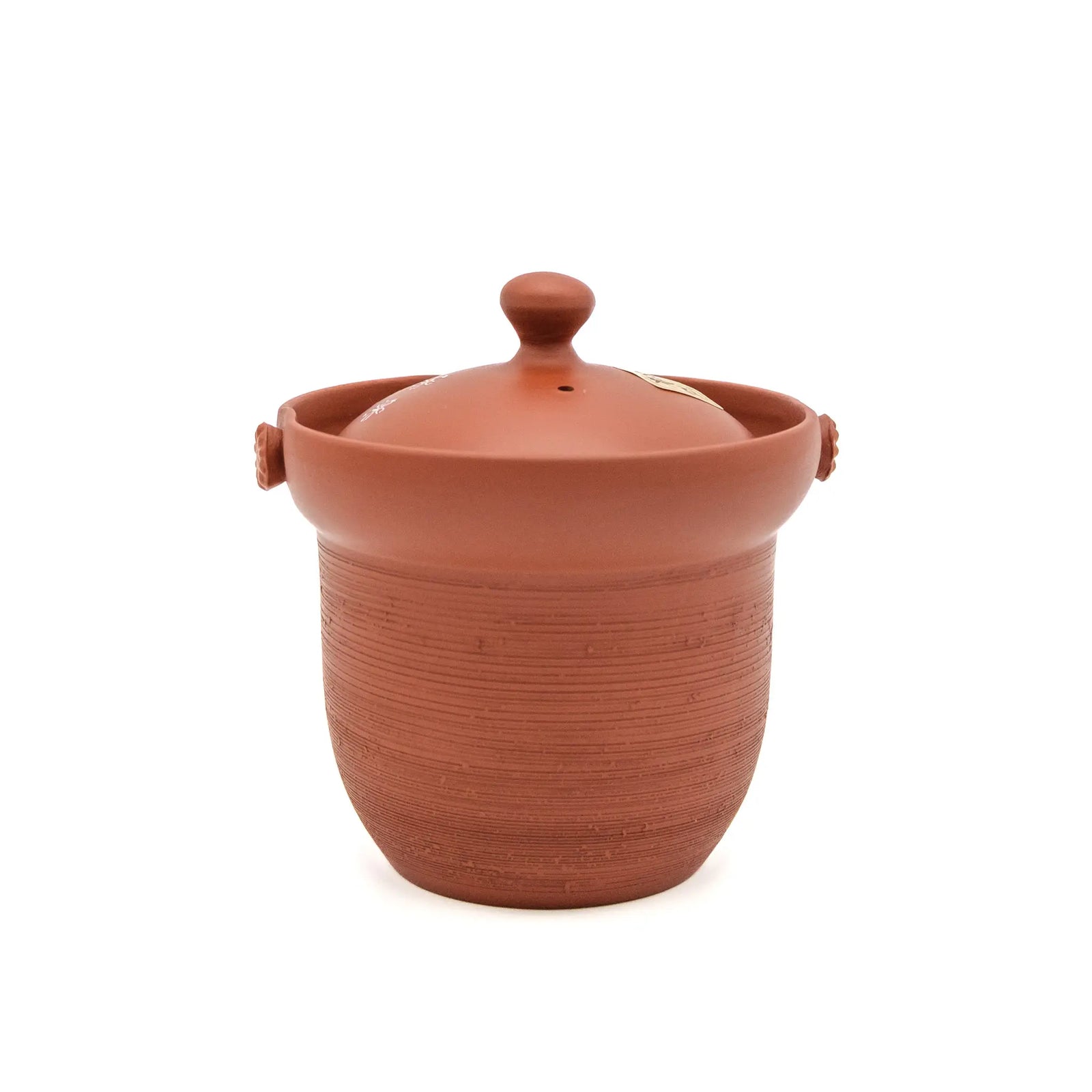 Sakura Tokanome Kyusu Japanese Teapot on White Backgroundp - Backside View