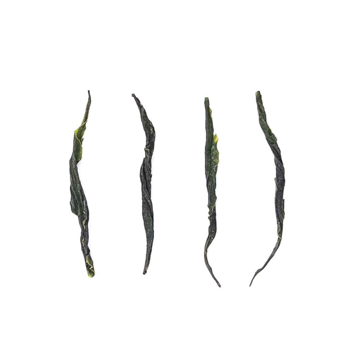 Organically Grown Pine Needles Chinese Green Tea