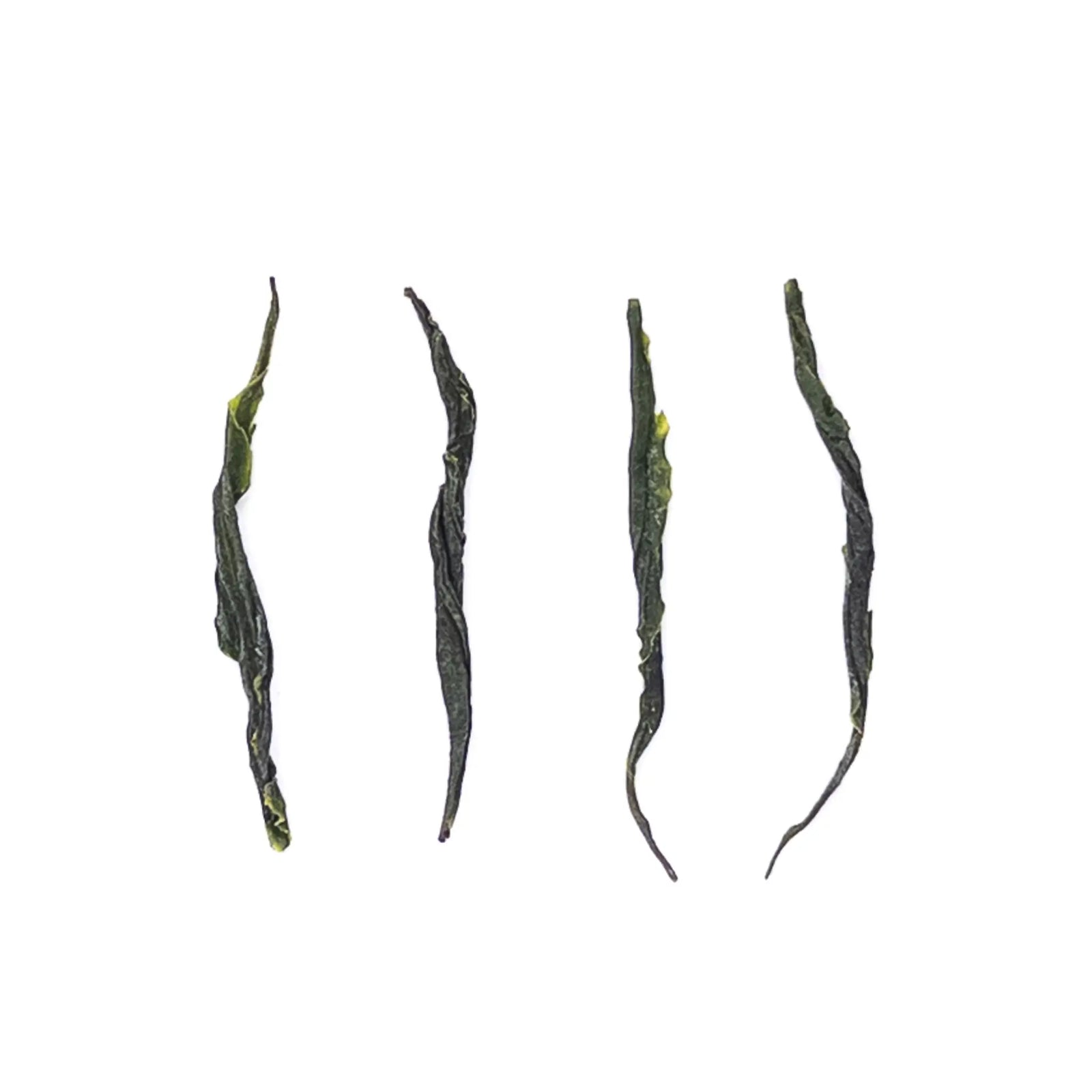 Organically Grown Pine Needles Chinese Green Tea