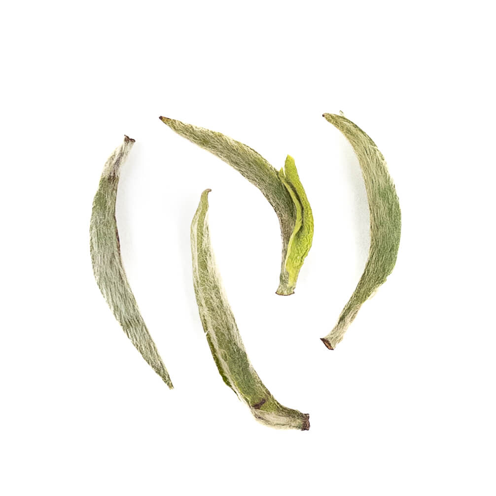 2025 Mr. Qiu's Charcoal Dried Panxi Silver Needle