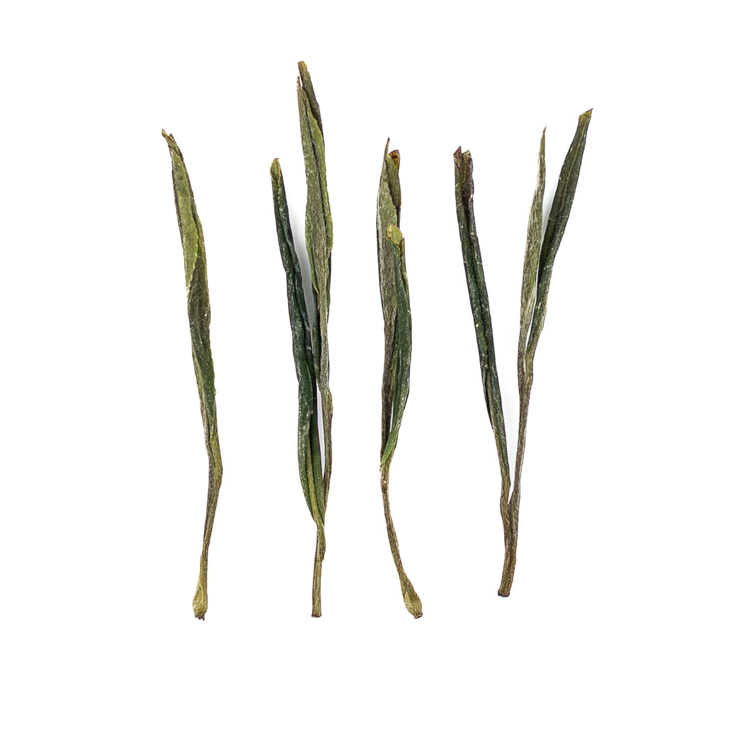 2025 Purple Bamboo Shoot Green Tea from China