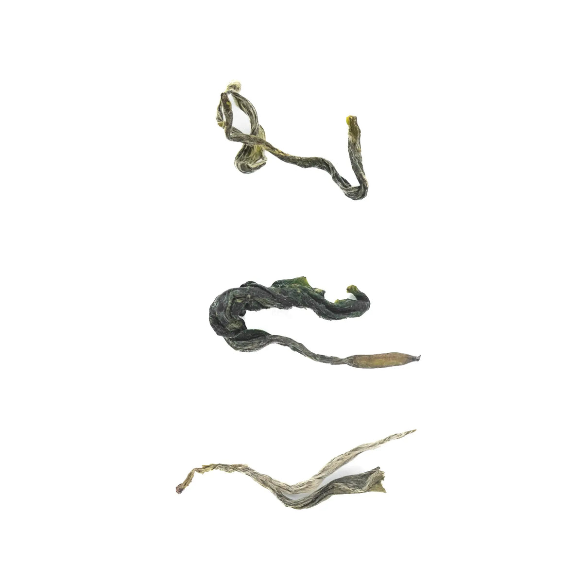 "Normal Green" Tea from Nepal - Tinjure Cooperative - three green tea leaves on a white background