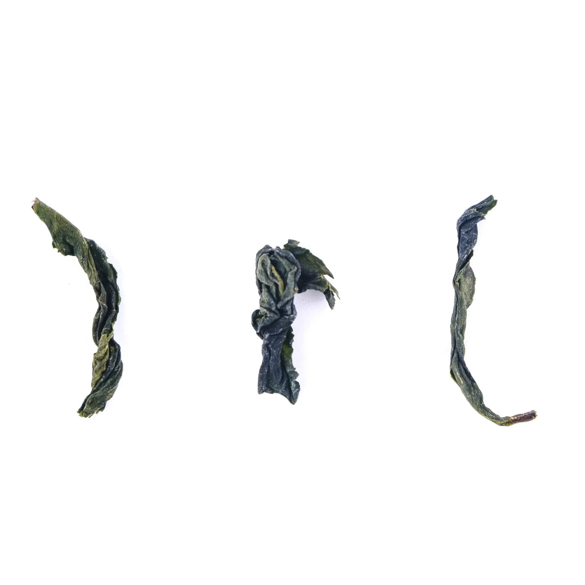 Three dried green tea leaves on a white background - 2026 Wenshan Baozhong Oolong from Taiwan