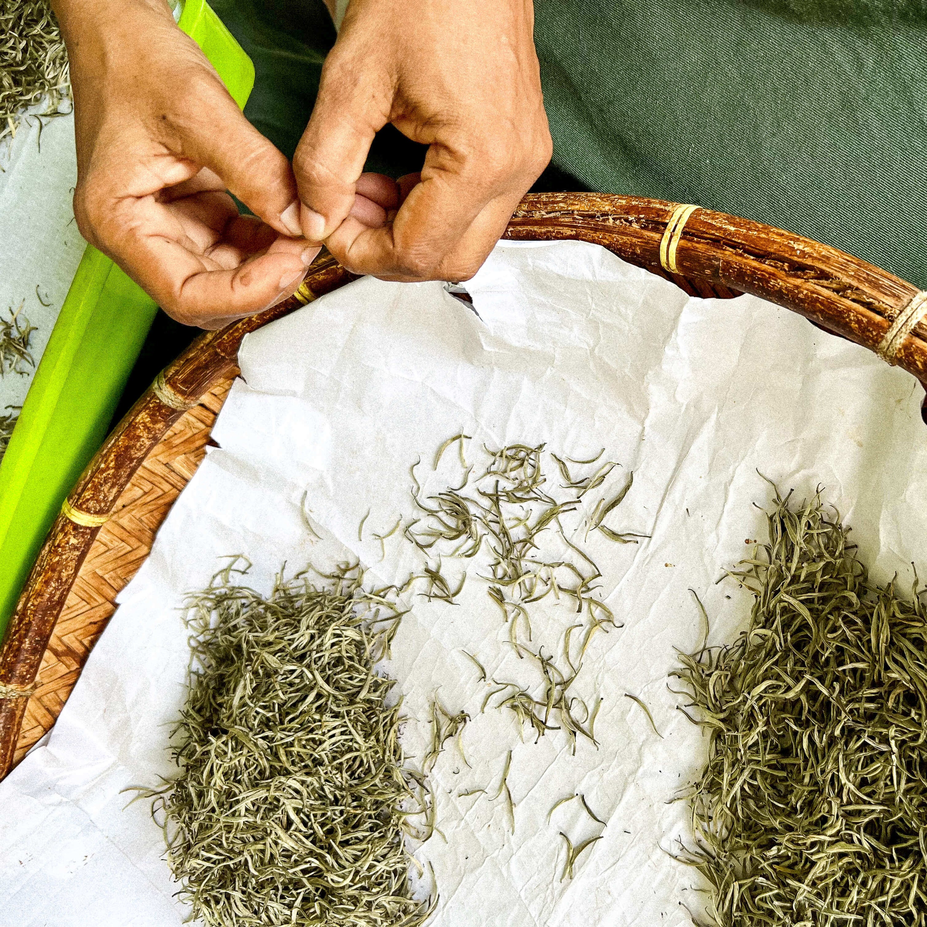 White Tea - Loose Leaf Tea - Organic Tea - The Steeping Room
