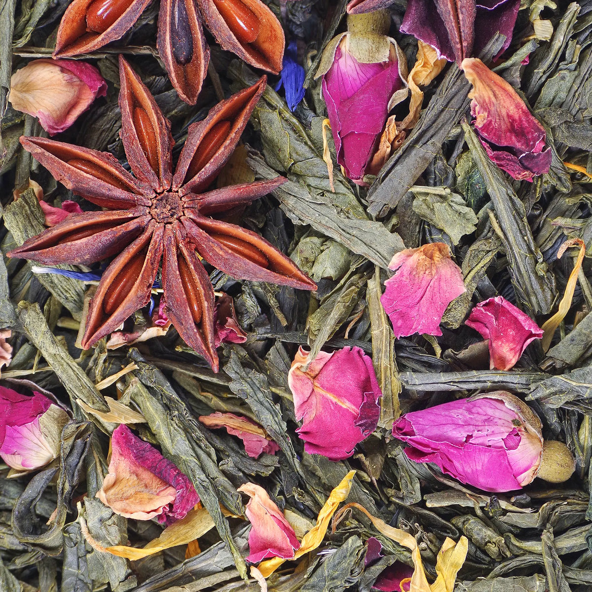 Flavored Favorites Sampler Set