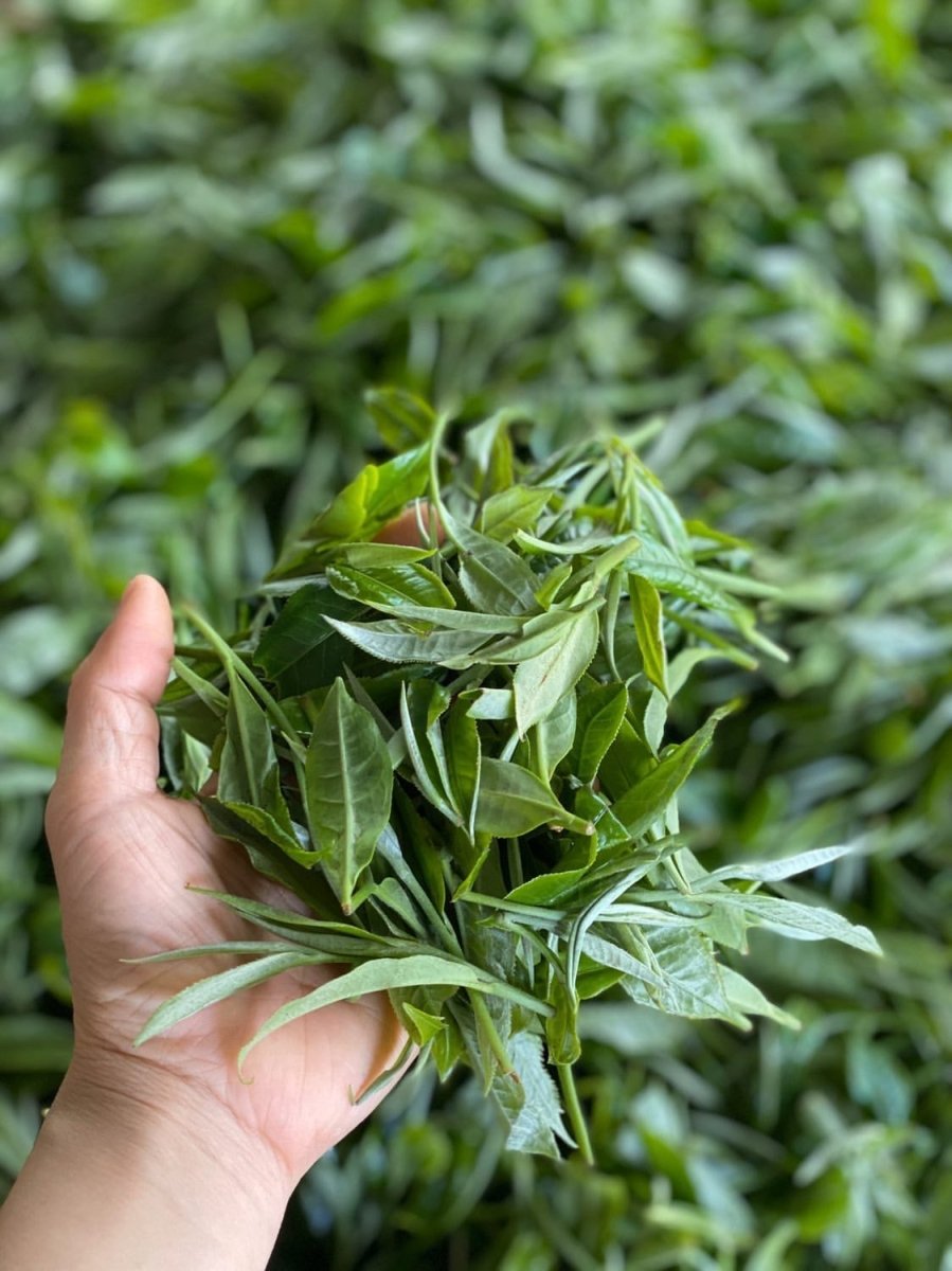 Monthly Tea Club (Recurring)