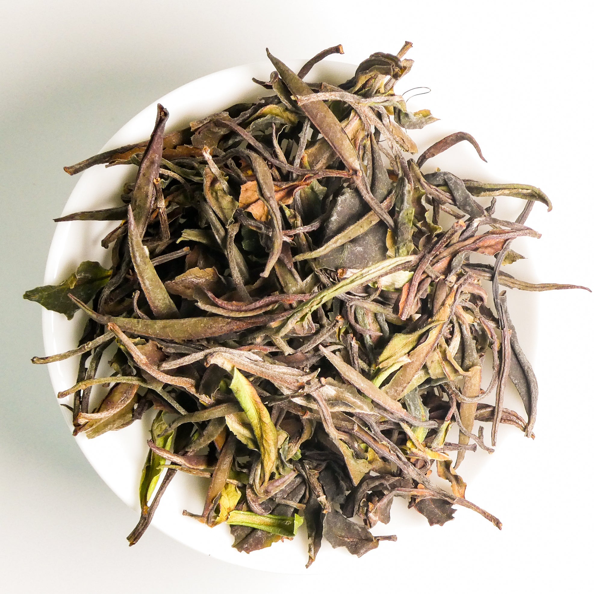 Wild White Tea from India